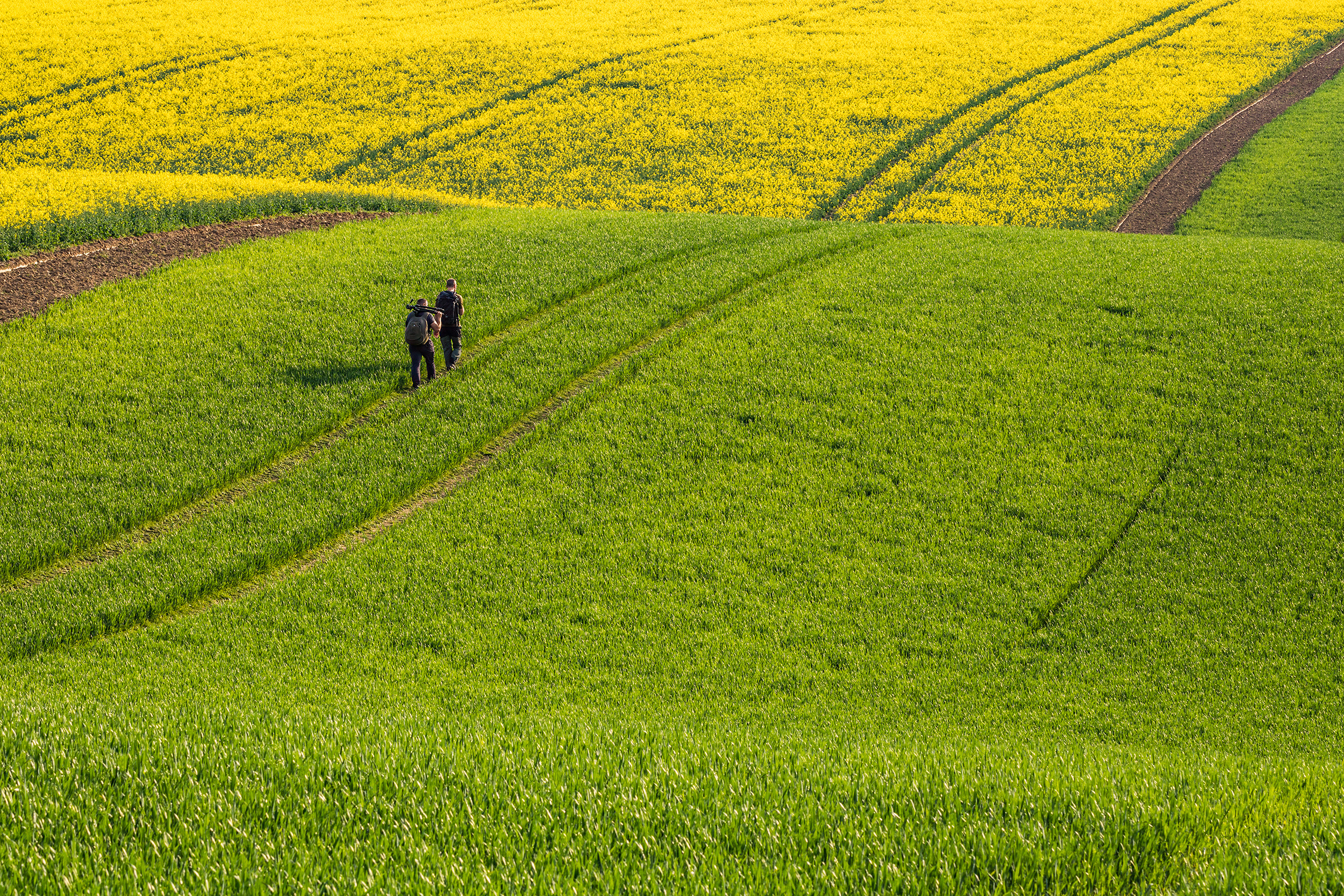 Looking for the right position at Kunkovice Windmill