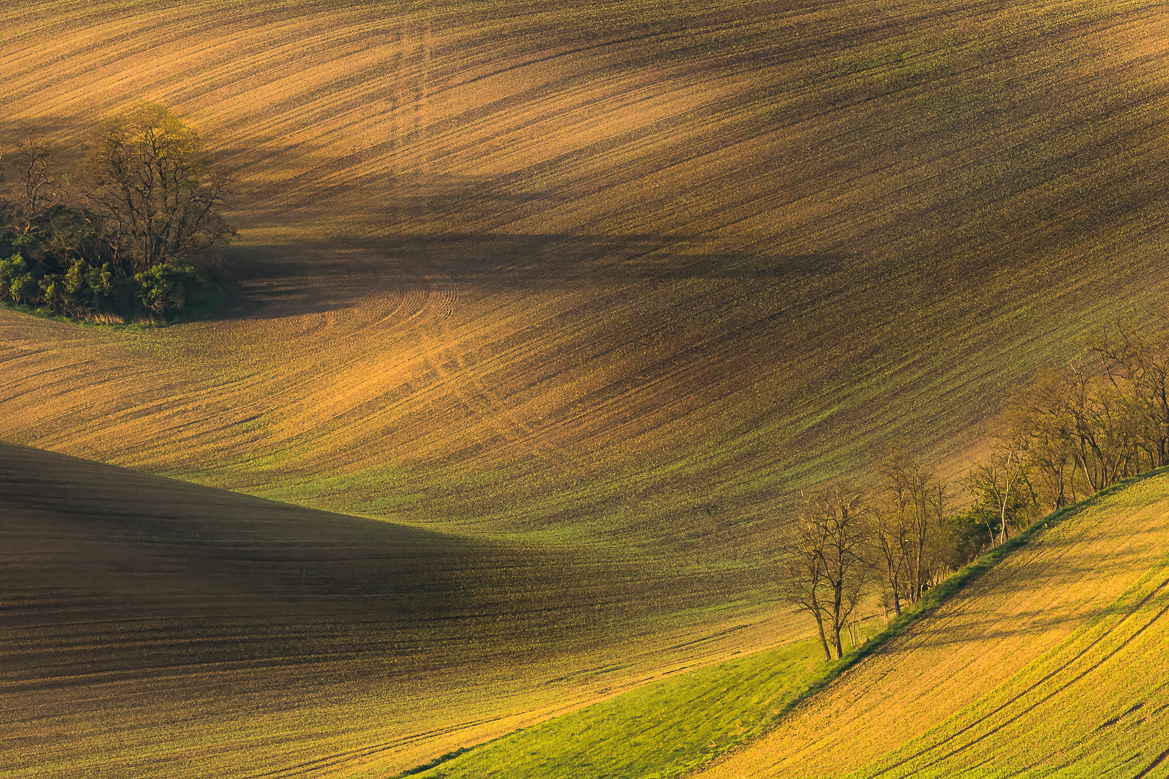 Detail of the Magic Valley