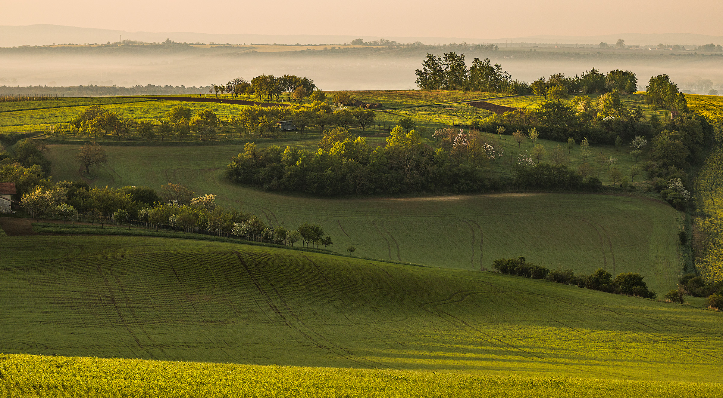 Southern Moravia