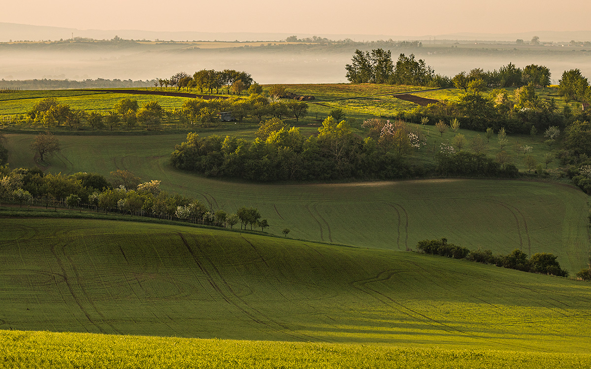 Southern Moravia