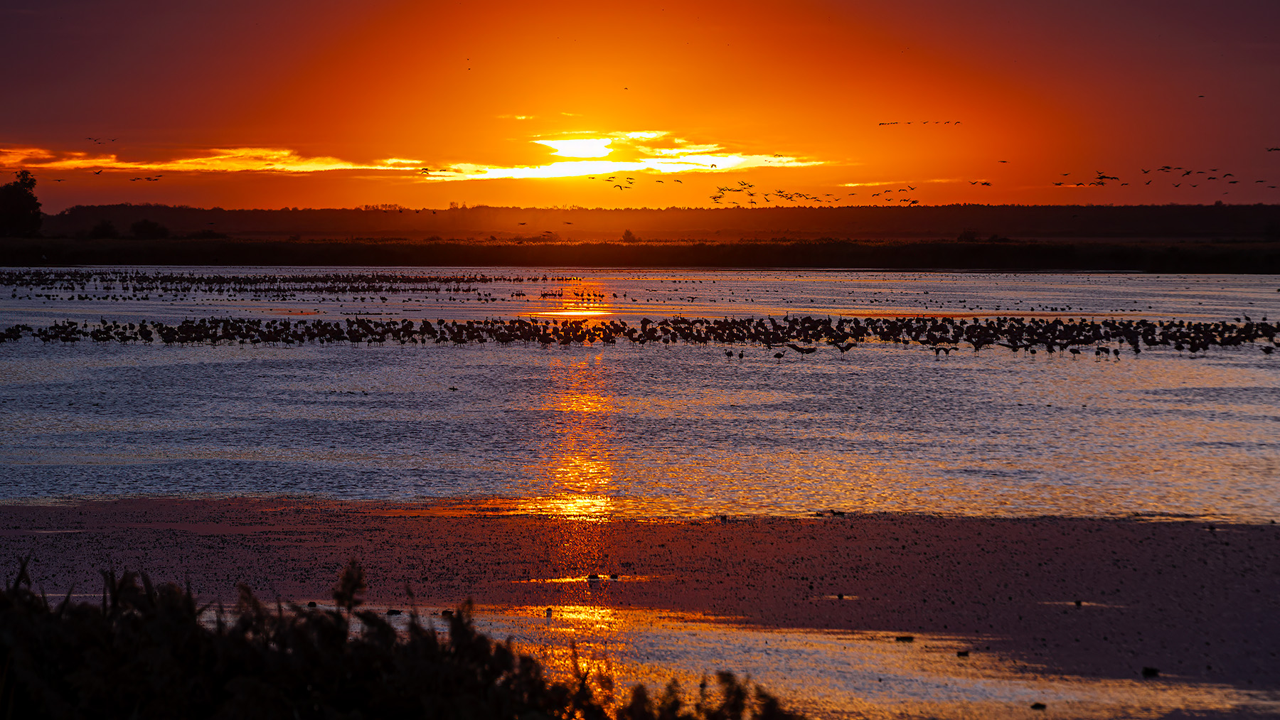 Fiery Gathering