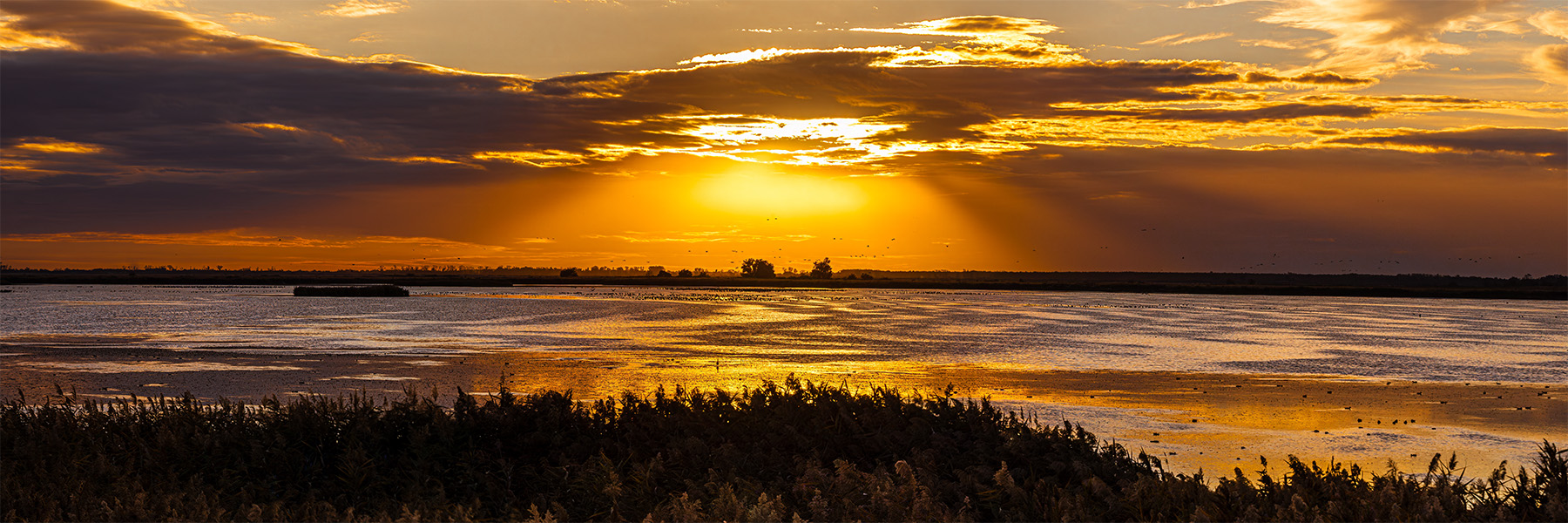 Golden Path
